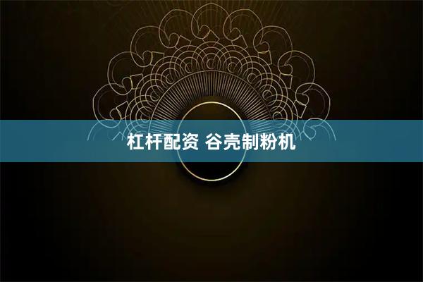 杠杆配资 谷壳制粉机